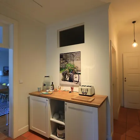 Regua Pine House 民宿