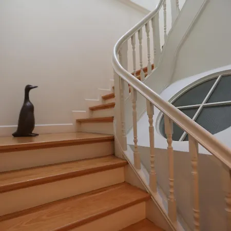 Regua Pine House 比索达雷加