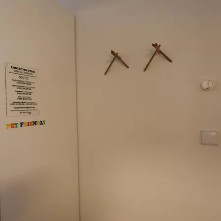 Regua Pine House 民宿 比索达雷加