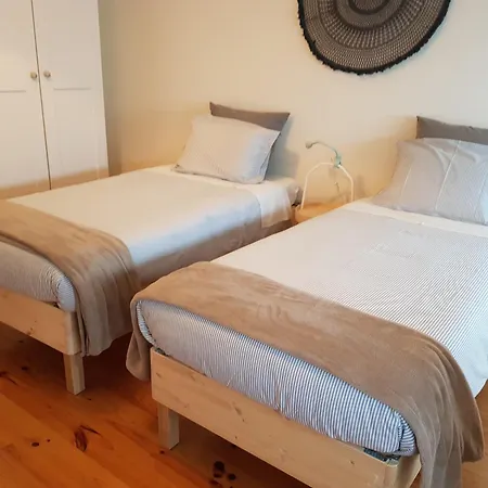 Homestay Regua Pine House