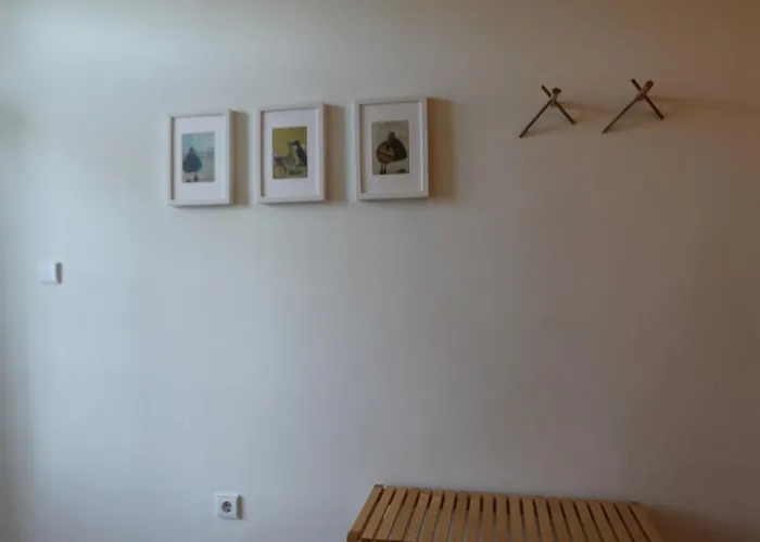 Régua Pine House Séjour chez l'habitant Peso da Régua